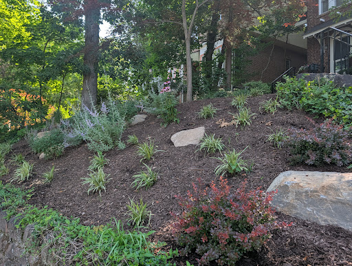 CLC Landscape Designer NJ 208 AABkmLeWxEDZuPqo2JTLEhONxMwCf4aeed5XcGw nuDHyIvoMhrhCJhIgmvrkiTXdrR7hO9EDe7D172JwZJcCT8RHf J691k69DviSwzSq7ZjnZwAU905SmZmLUmIDpESOtOBVq IplWjCUdqM=k no