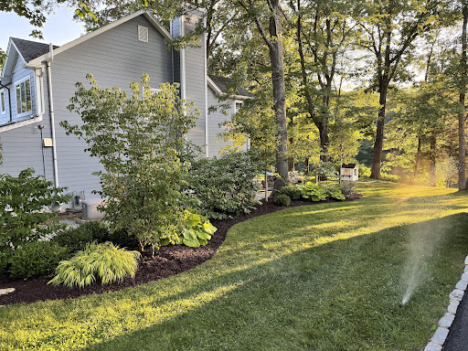 CLC Landscape Designer NJ 178 AABkmLcTvEFfCQmyWY66zHPt6h68hGOznuYDT xrmRbvcWhlMWt yOROq1ki9UDEmSSFy9OUlHZBMDnQ5AppQYEtQDSJenuH5IsW1Vsb3V2PilYRlUGYNuAxZOcegLMyKc SMpdW2sEluoMfGQxz=k no